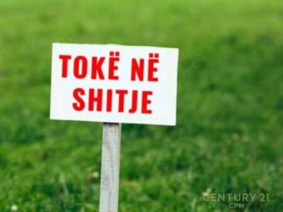 Çollak |##| Farkë e Madhe |##| Farkë e vogël |##| Liqeni i Farkës, Tirana, アルバニア