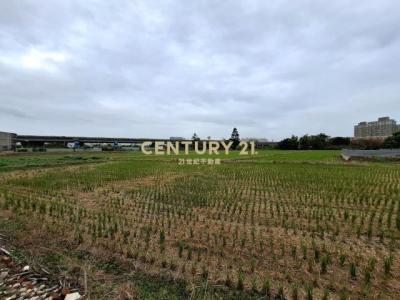 國際段, 桃園區, تاويوان مدينة 330, تايوان