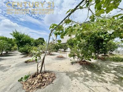 貢旗段, Dacun Township, Changhua County 515, Taiwan