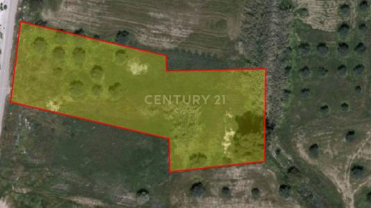 Oroklini (Voroklini), Cyprus