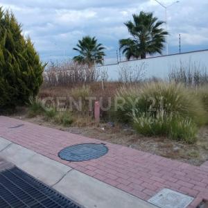 Av. del Ebano Condominio Avellano Ext. 900 Int. 106,, El Marqués, 克雷塔羅 76246, 墨西哥