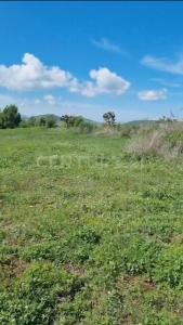 condominio denominado Cortijo Tejares 15,, Tapalpa, Jalisco 49340, Meksyk