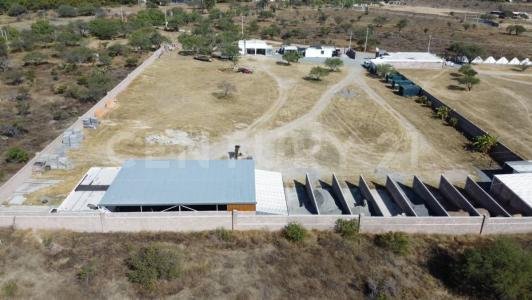 أغواسكالينتس, أغواسكالينتس 20375, المكسيك