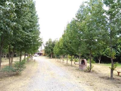 Diguillín, Región De Ñuble 00001, Chili