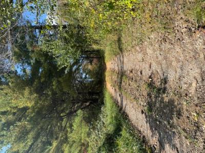 215 Tom Taylor Road, Corbin, Kentucky 400701, USA