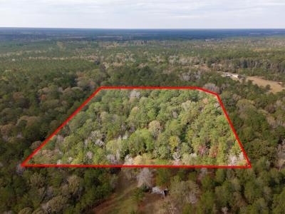 L18 John Keely Road, Zavalla, Texas 75980, États-Unis