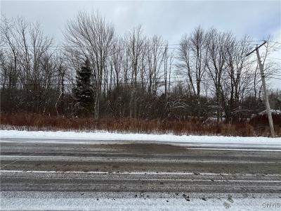 Honey Hill Road, Fulton, New York 13069, États-Unis