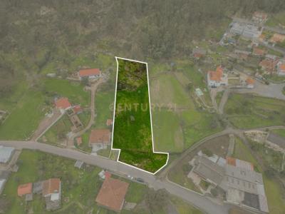 Barcelos, Braga 4750-054, Portugal