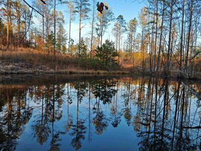 280 Lot C 6.5 Acres Brookhill Ranch Road, Hot Springs, Arkansas 71909, Estados Unidos