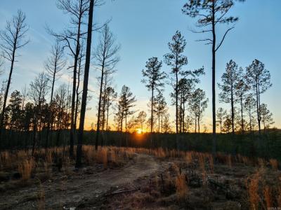 280 Lot B 8.87 Acres Brookhill Ranch Road, Hot Springs, Arkansas 71909, Estados Unidos