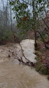 300 Burbano Creekside Landing, Talking Rock, 죠지아 30175, 미국