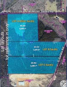 40 Acres W Miller Sardis- Lot A Road, Bauxite, Arkansas 72011, USA