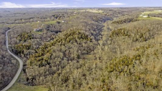 Jemerson Creek Rd 40 acres M/L, Hartsburg, Missouri 65039