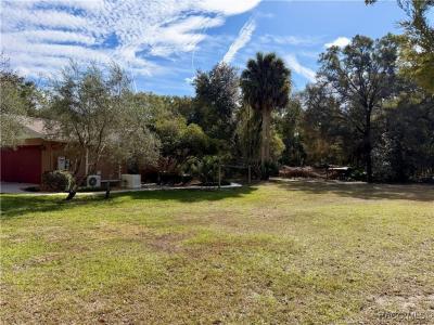 8614 W Varricchio Lane, Crystal River, Floride 34428, États-Unis