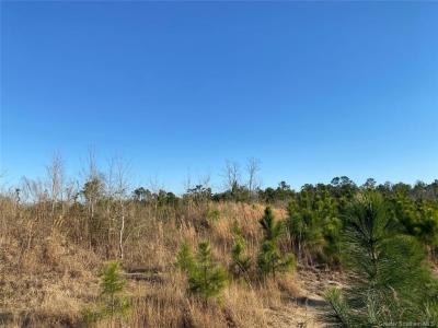 0 College Heights, Lake Charles, Louisiana 70605, USA