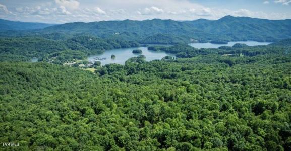 Tbd Black Bear Drive, Butler, Tennessee 37640, États-Unis