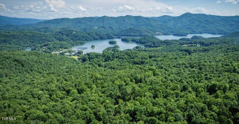 Tbd Black Bear Drive, Butler, Tennessee 37640, États-Unis