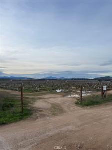 48655 Lockwood Jolon Road, Lockwood, California 93932, USA