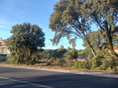 Ourém, Santarem 2495-301, Portugal