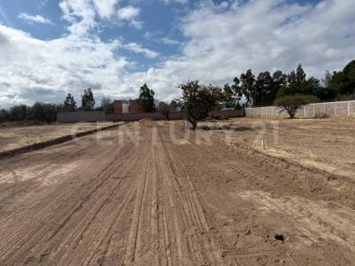 Priv. Camino Real ,, Cerro De San Pedro, San Luis Potosi 78440, Meksyk