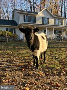 5918 Old Croom Station Road, Upper Marlboro, מרילנד 20772, ארצות הברית של אמריקה 