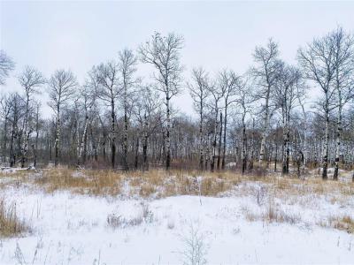 22 CYRUS LANE, La Broquerie, Manitoba R0A 0W1, Canada