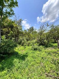 juan vera 5,, Zapopan, חליסקו 45205, מקסיקו 