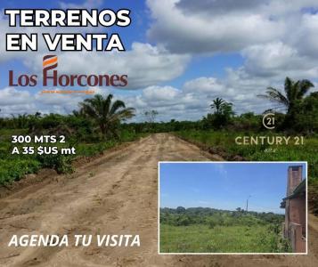 Urubo, Santa Cruz 15, Urubo, Santa Cruz 00001, Bolivia