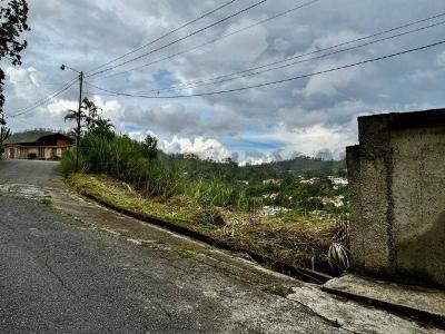 principal Terreno en venta 1200m2 todos los servicios Urb Pan de azúcar Carrizal, Carrizal, Miranda 00001, Венесуэла
