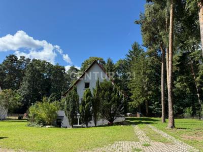 Bad Saarow, Brandenburg 15526, Germany