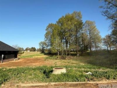 Lot 21B N 8 1/2 Street, Paragould, Arkansas 72450, USA