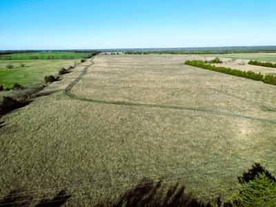 90 ac CR 4615, Wolfe City, Texas 75496, USA