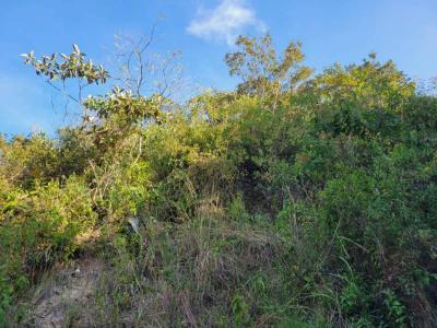 La Reina La Reina, Chalatenango 00001, El Salvador