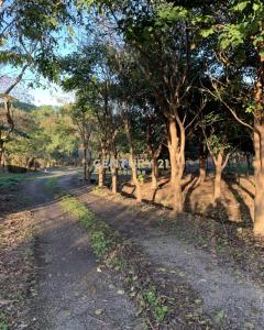東隆段, 大溪區, Taoyuan City 335, Taiwan