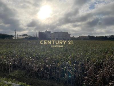 金湖段, 觀音區, Taoyuan 328, Taïwan