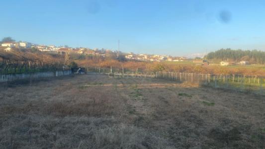 Felgueiras, Porto 4610-420, Portugal