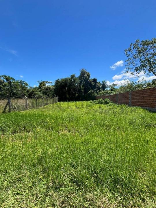 AMERICA AMERICA CASI CAÑADA DEL CARMEN, Luque, Central 00001, Le Paraguay