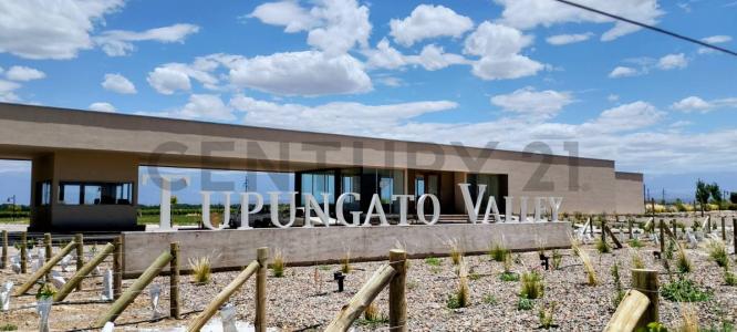 Ruta 88 s/n S/n, Tupungato, Mendoza 5561, Argentina