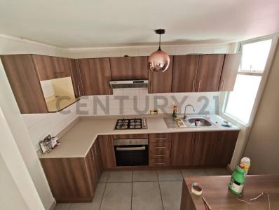 Iquique, Tarapacá 00001, צ'ילה 