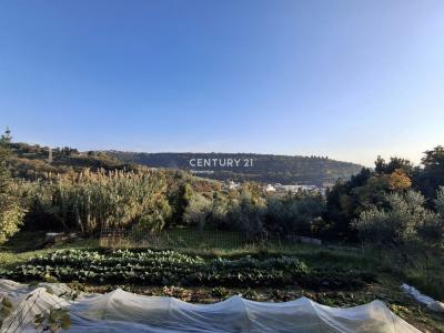 Lucan, Piran, Obalno - Kraška 6320, סלובניה