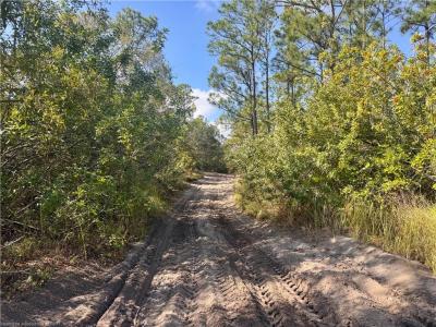 2163 Petunia Avenue, Sebring, Florida 33875, USA