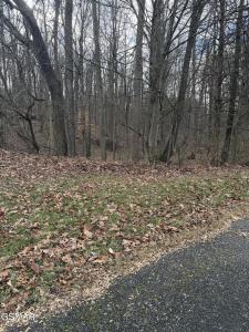 Lot 4 Pilgrim Road, Dandridge, Tennessee 37725, USA