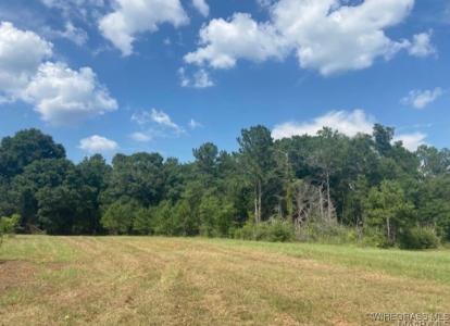 TBD Averett Road, Enterprise, Alabama 36330, USA