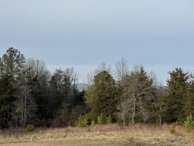 00 Watt Abbitt Road, Appomattox, Вирджиния 24522, Соединенные Штаты