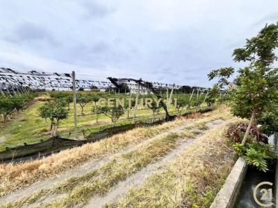 豐川段, Taitung עיר, מחוז טאיטונג 950, טיוואן 
