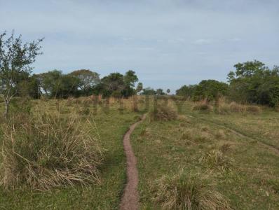 Pilar, Ñeembucú 00001, Paraguay