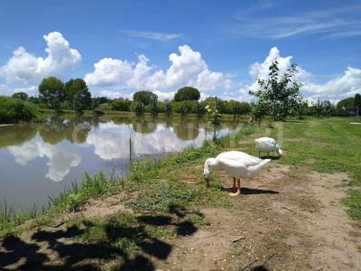 Campestre Santa Rita s/n,, Guerrero, Chihuahua 31680, México