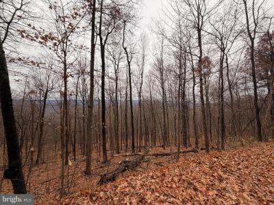 6.71 Ac Lot 9 Gobbler Lane,, Hedgesville, WV 25427, USA