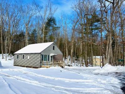 195 W Mohican Trail, Glen Spey, New York 12737, HOA KỲ