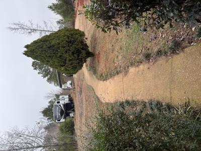 500 North Lindsey Road, Fulton, Mississippi 38843, USA